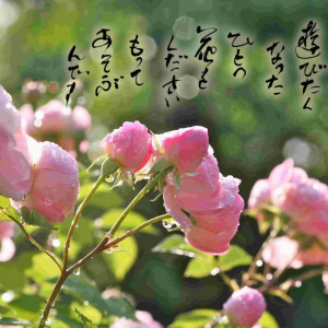 Gallery Masumiで開催された10周年記念展 薔薇に恋してのアイキャッチ