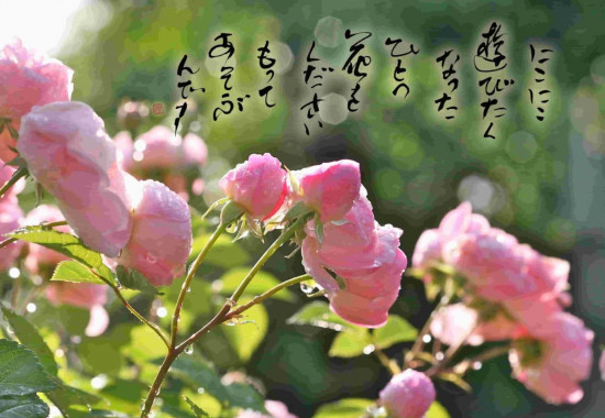 Gallery Masumiで開催された10周年記念展 薔薇に恋してのアイキャッチ