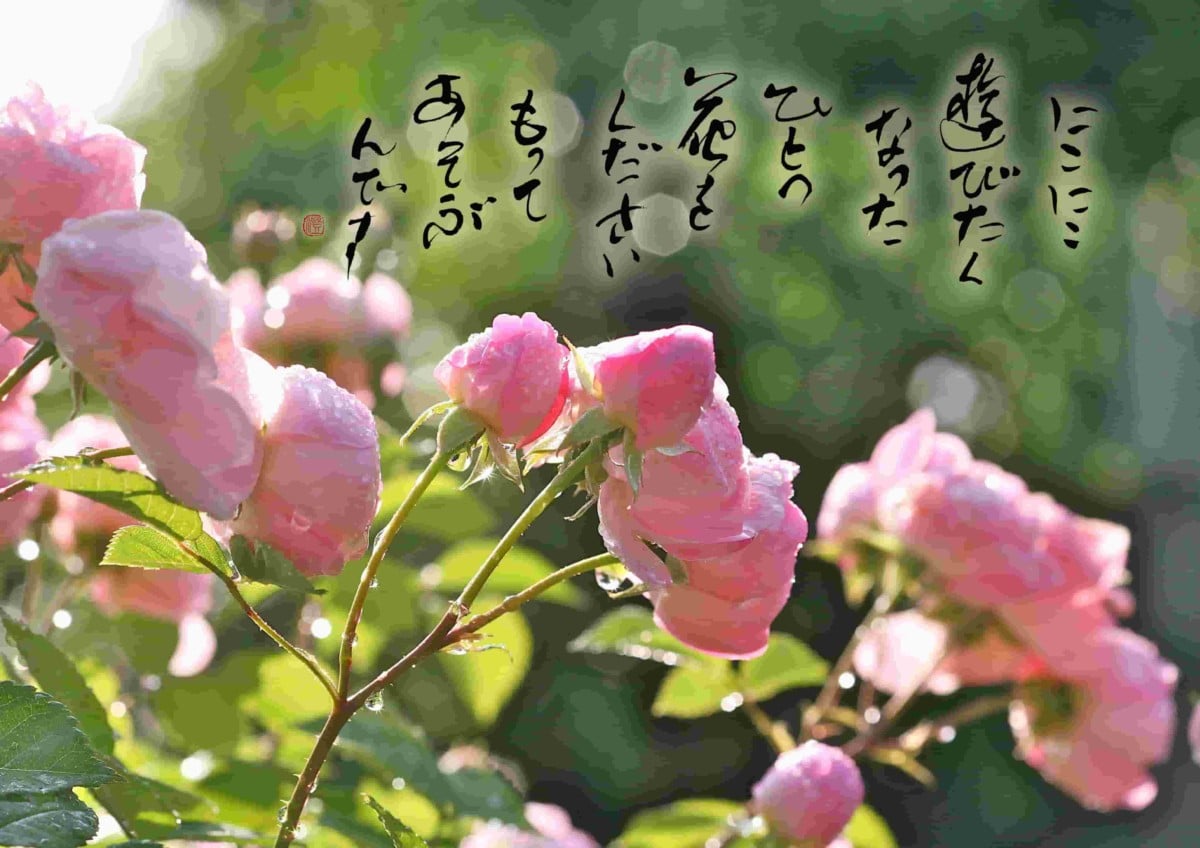 Gallery Masumiで開催された10周年記念展 薔薇に恋してのアイキャッチ
